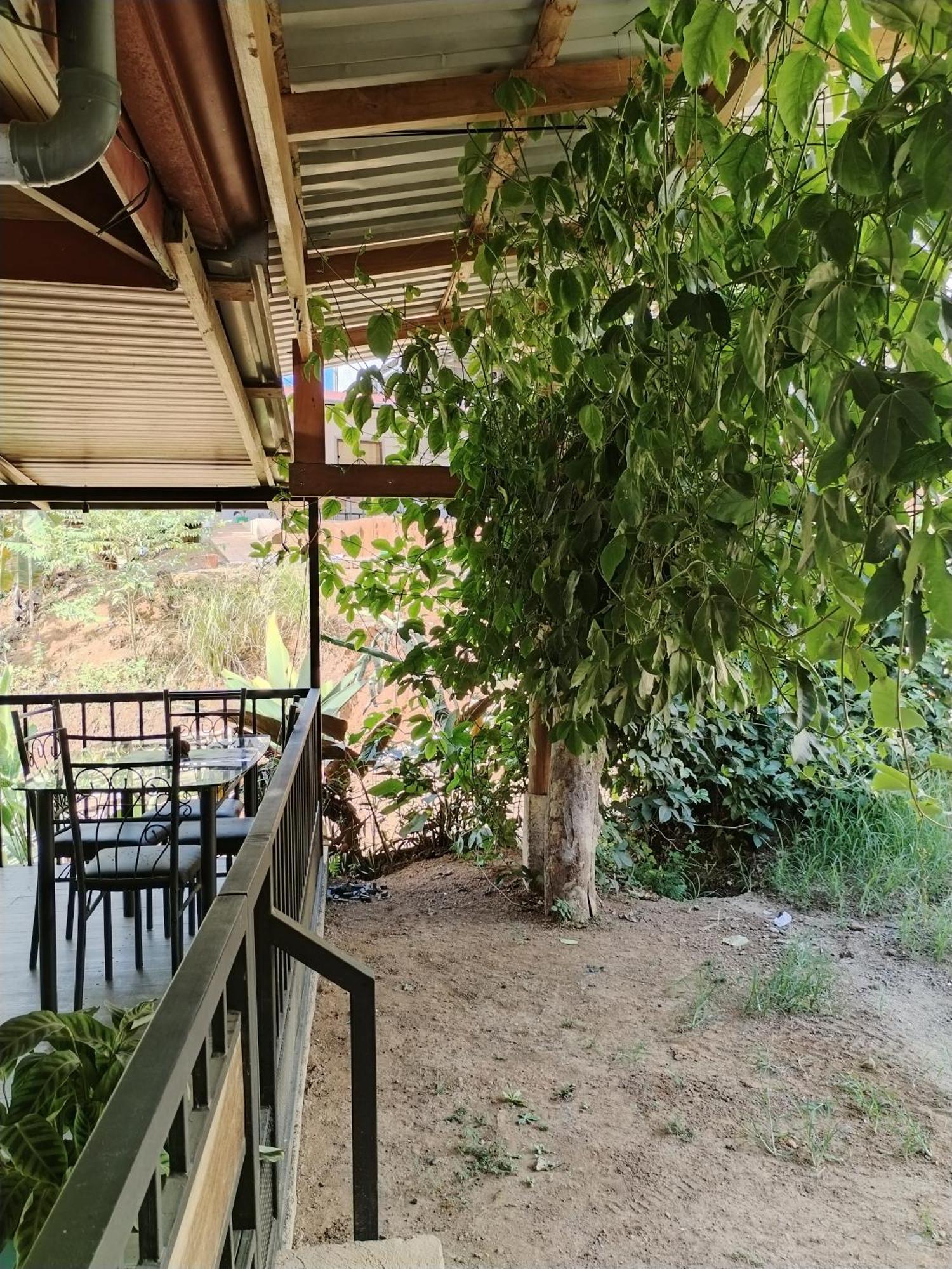 לינה וארוחת בוקר Drakes Bay Osa House - Drake Corcovado Tours מראה חיצוני תמונה